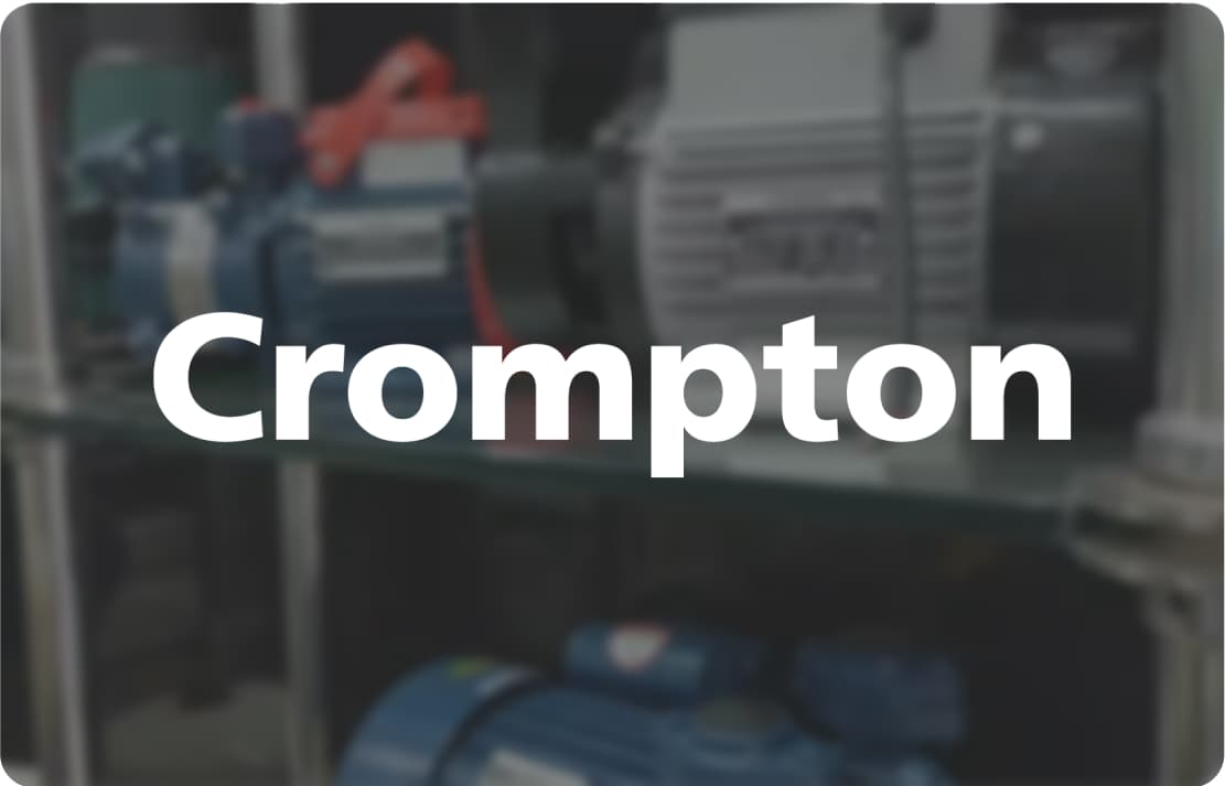 20X Increase in Active Members for Crompton's Loyalty Program