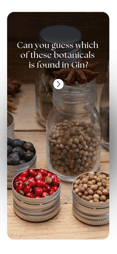 TrainGram interactive quiz reel