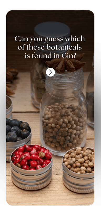 TrainGram interactive quiz reel