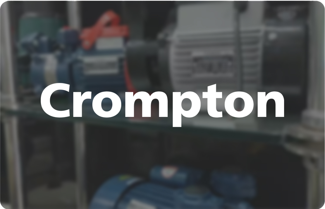 20X Increase in Active Members for Crompton's Loyalty Program